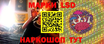 эйфоретик Будённовск